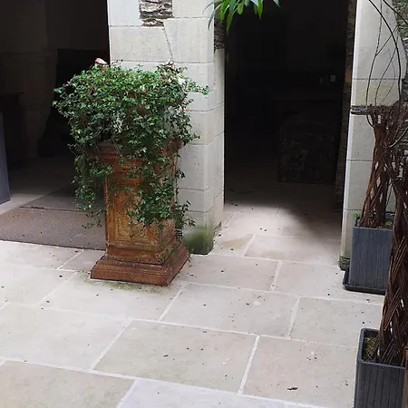 2 Pieces Et Jardin Hyper Centre * Angers